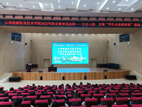 人文與藝術設計學院2023年職業(yè)教育活動周系列活動策劃與咨詢紀實
